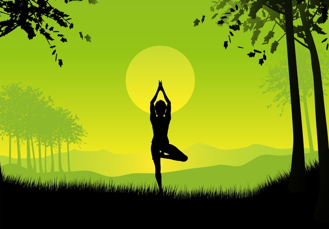 Silhouette of a woman in tree pose at sunset